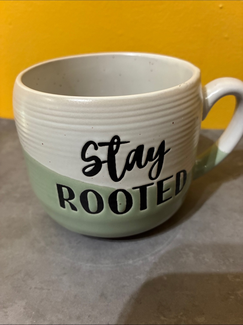 Stay Rooted Ceramic Mug in Sage and White